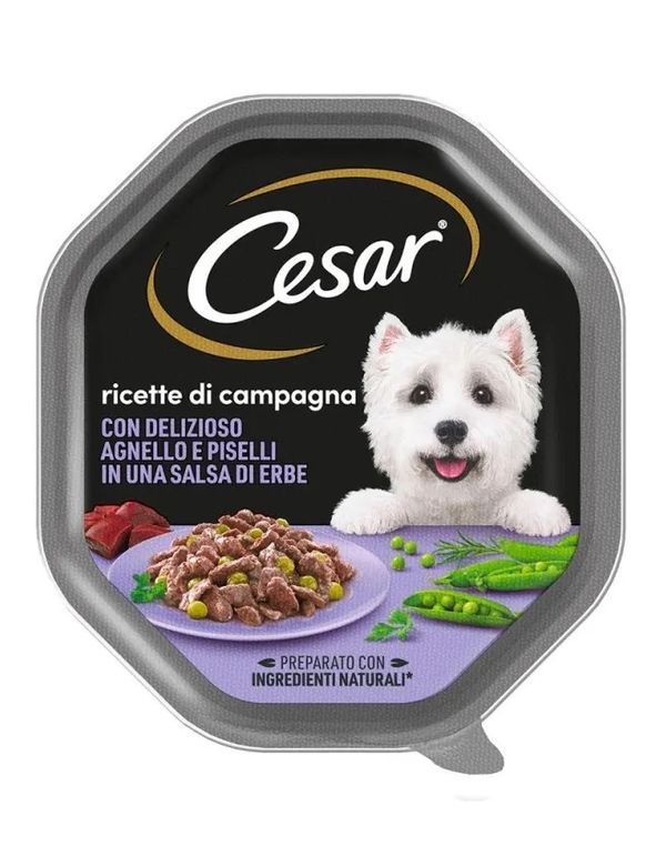 CESAR Cibo Umido Agnello E Piselli 150G