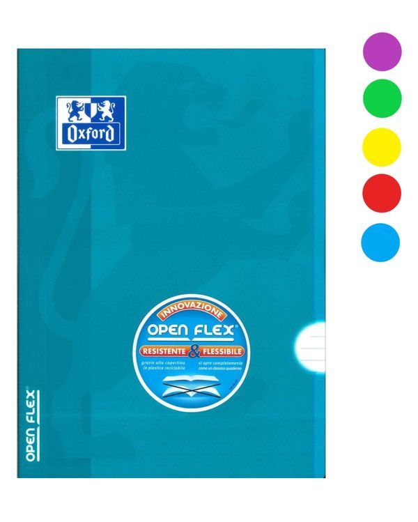 Maxi Notebook Linien Groß - Sortiert