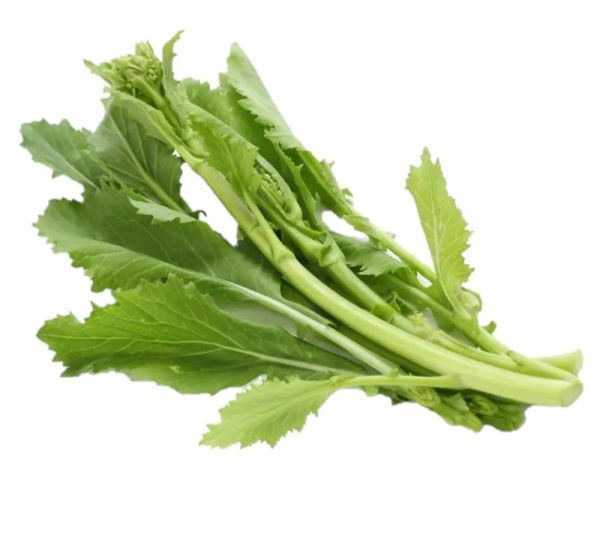 LE REGIONALI Semi Di Cime Di Rapa