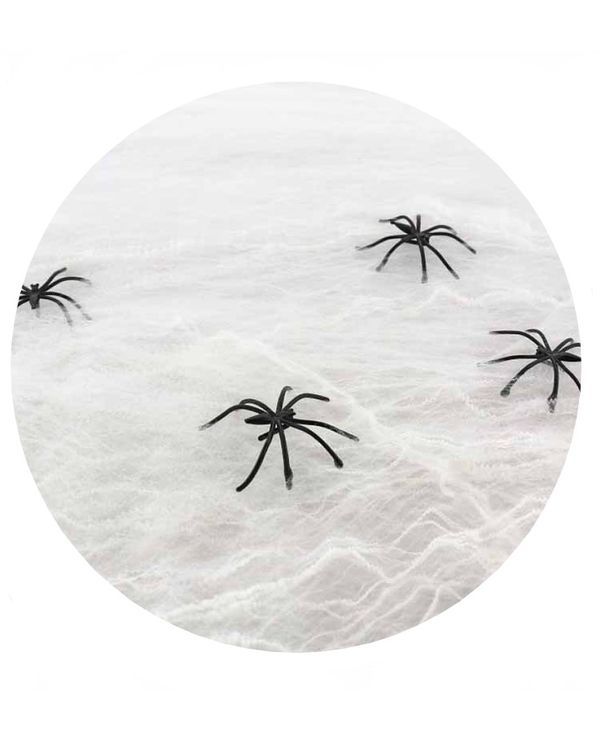 Halloween Accessoire Weißes Netz Mit 4 Spinnen 50G