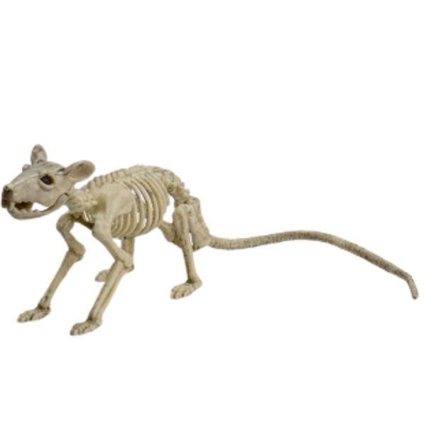 Halloween Dekoration Maus-Skelett 25Cm