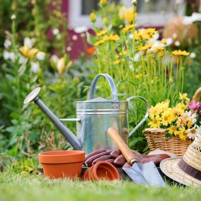 Accessoires de jardinage, pots, irrigation, décoration de jardin